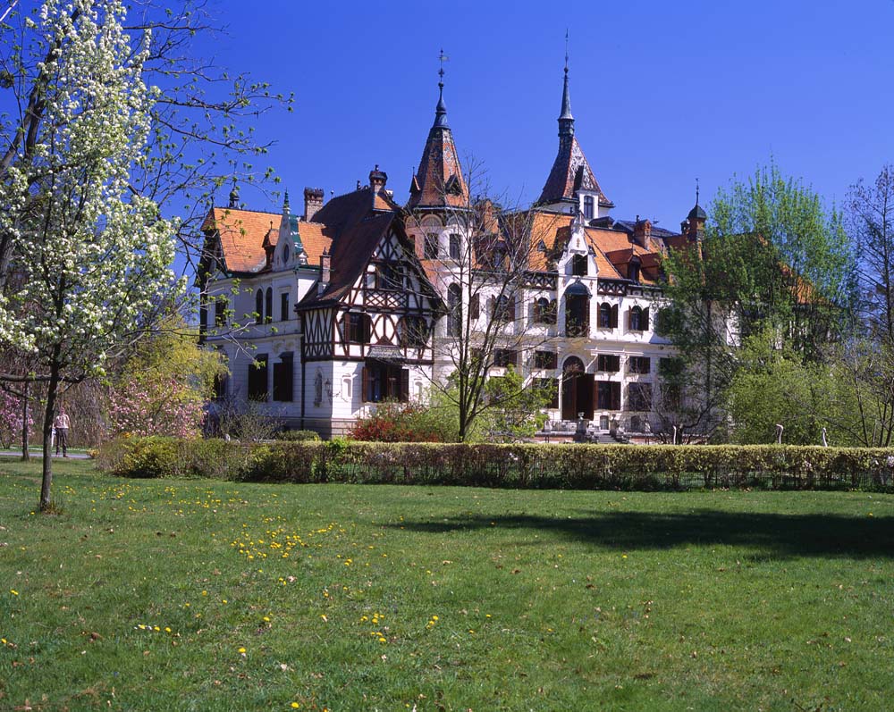 1651_lesna_004.jpg