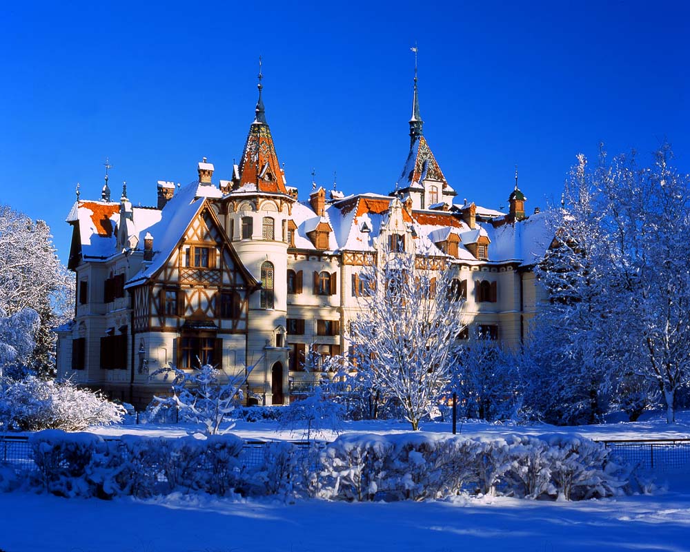 1653_lesna_17.jpg