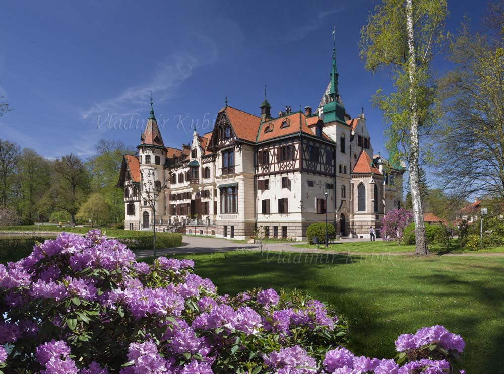 6554_lesna_pan_03.jpg