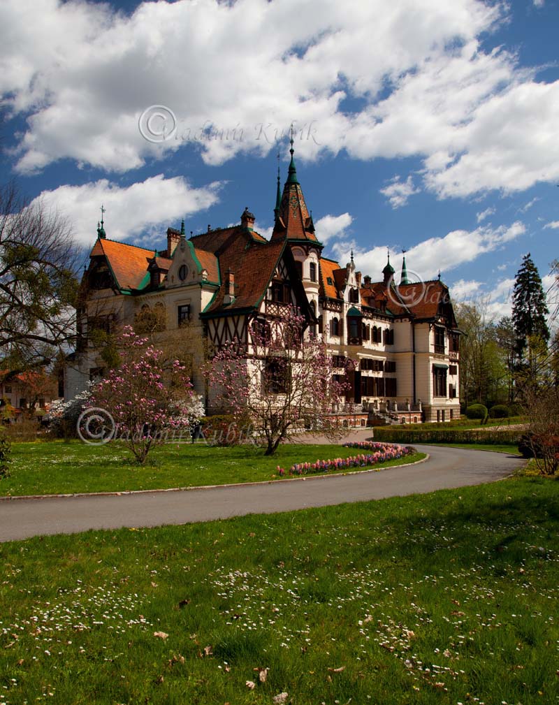 7943_lesna_zamek_2015-001.jpg